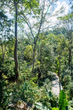 Tayland 'da, parkta beton yol.