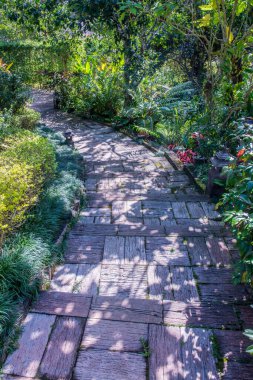 Parkta yürüyüş yolu, Tayland.