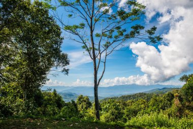 Huai Nam Dang Milli Parkı, Tayland.