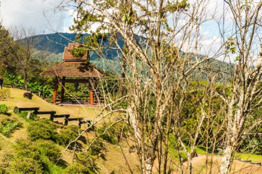 Huai Nam Dang Ulusal Parkı, Tayland Manzarası.