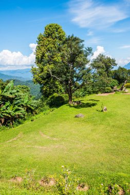 Huai Nam Dang Milli Parkı, Tayland.