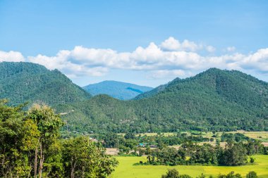Tayland 'ın Pai şehrinde doğal manzara.