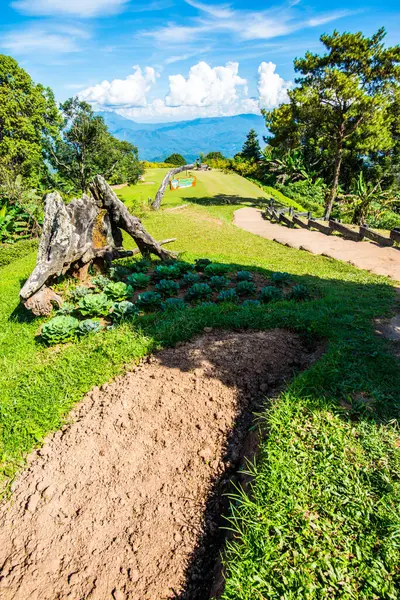 Huai Nam Dang Milli Parkı, Tayland.