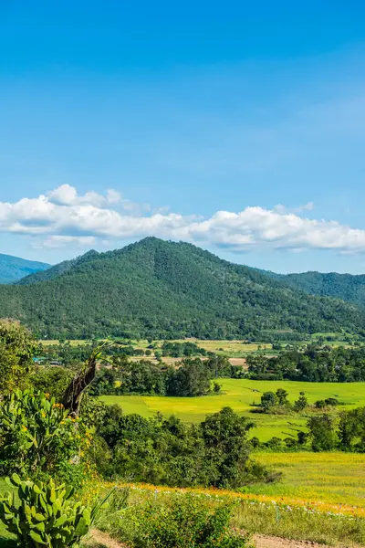 Tayland 'ın Pai şehrinde doğal manzara.