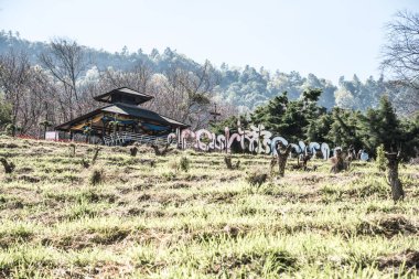 Chiangmai, Tayland 'da kiraz çiçeği parkı..