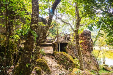 Tayland, Tayland 'da ormanlı küçük bir patika..