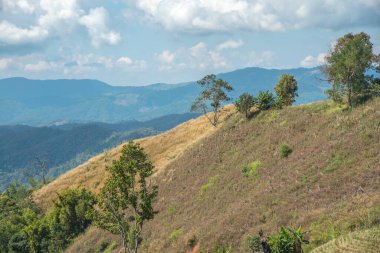 Tayland 'ın Chiangrai eyaletinde dağ manzarası.