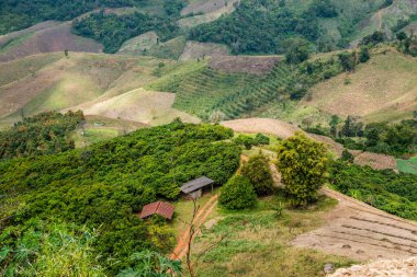 Tayland 'ın Chiangrai eyaletinde dağ manzarası.