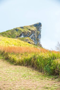 Chiangrai, Tayland 'daki Phu Chi Fa Dağı manzarası.