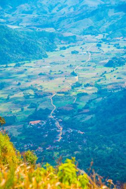 Chiangrai, Tayland 'da Phu Chi Fa' nın en iyi manzarası.