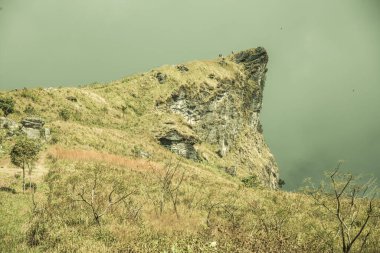 Chiangrai, Tayland 'daki Phu Chi Fa Dağı manzarası.
