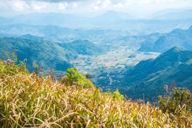 Chiangrai, Tayland 'da Phu Chi Fa' nın en iyi manzarası.