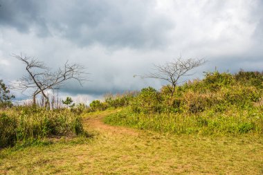 Chiangrai, Tayland 'daki Phu Chi Fa Dağı manzarası.