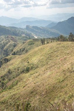 Chiangrai, Tayland 'daki Phu Chi Fa Dağı manzarası.