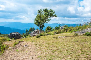 Chiangrai, Tayland 'daki Phu Chi Fa Dağı manzarası.