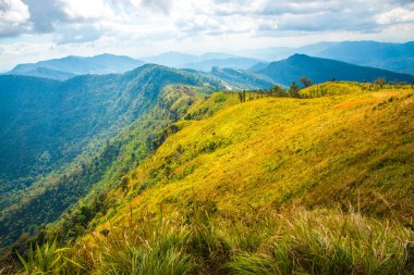 Chiangrai, Tayland 'daki Phu Chi Fa Dağı manzarası.