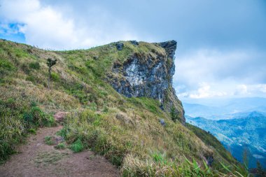 Chiangrai, Tayland 'daki Phu Chi Fa Dağı manzarası.