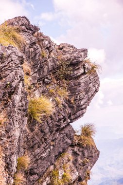 Chiangrai, Tayland 'daki Phu Chi Fa Dağı manzarası.