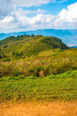 Chiangrai, Tayland 'daki Phu Chi Fa Dağı manzarası.