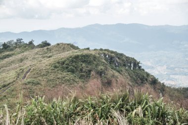 Chiangrai, Tayland 'daki Phu Chi Fa Dağı manzarası.