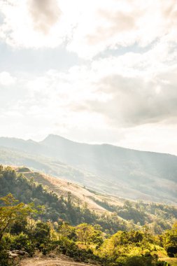 Tayland 'ın Chiangrai eyaletinde dağ manzarası.