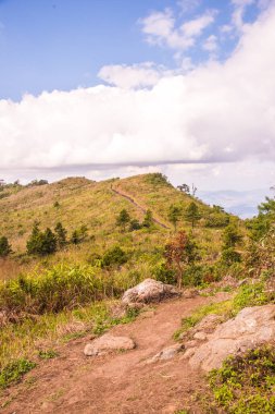 Chiangrai, Tayland 'daki Phu Chi Fa Dağı manzarası.