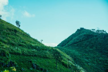 Tayland 'ın Chiangrai ilindeki Doi Pha Tang Dağı manzarası.