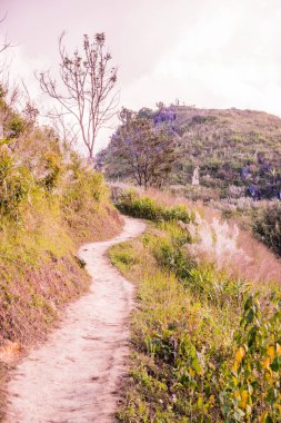Tayland 'ın Chiangrai ilindeki Doi Pha Tang Dağı manzarası.