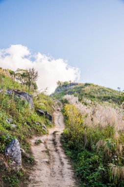 Tayland 'ın Chiangrai ilindeki Doi Pha Tang Dağı manzarası.