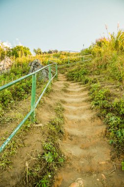 Chiangrai, Tayland 'daki Doi Pha Tang yolu..