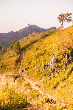 Tayland 'ın Chiangrai ilindeki Doi Pha Tang Dağı manzarası.