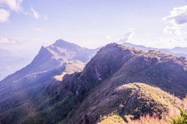 Tayland 'ın Chiangrai ilindeki Doi Pha Tang Dağı manzarası.