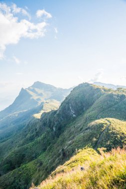 Tayland 'ın Chiangrai ilindeki Doi Pha Tang Dağı manzarası.