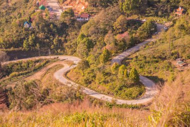 Chiangrai, Tayland 'da Doi Pha Tang yolu..