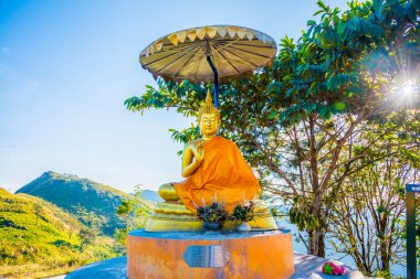 Doi Pha Tang, Tayland 'daki Tepede Altın Buda.