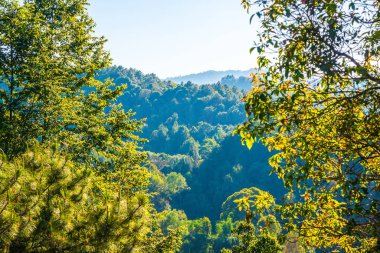 Doi Inthanon Ulusal Parkı, Tayland Dağ Manzarası.