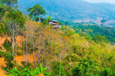 Tayland Phulangka Ulusal Parkı 'nda Dağ Manzaralı Küçük Ev.