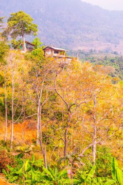 Tayland Phulangka Ulusal Parkı 'nda Dağ Manzaralı Küçük Ev.