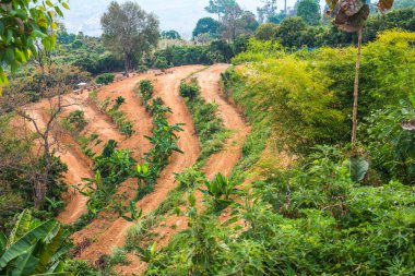 Phu Langka Ulusal Parkı, Tayland Güzel Manzarası.