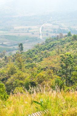 Phu Langka Ulusal Parkı, Tayland Güzel Manzarası.