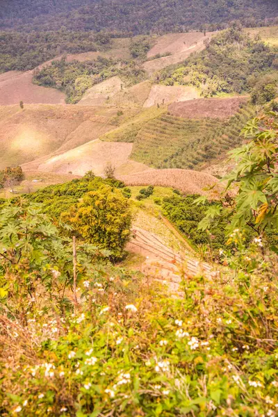 Tayland 'ın Chiangrai eyaletinde dağ manzarası.