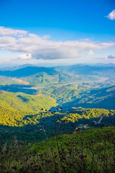 Tayland 'ın Chiangrai ilindeki Doi Pha Tang Dağı manzarası.