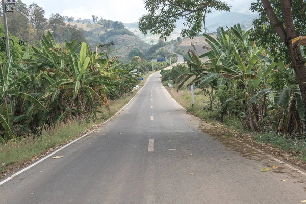 Tayland 'ın Phayao eyaletinde dağdaki yol.