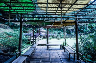 Mae Fah Luang Bahçesi Bambu Yolu, Tayland.