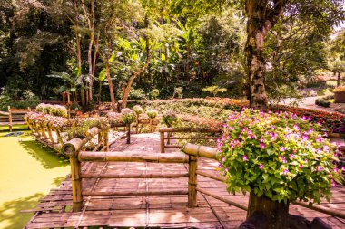 Mae Fah Luang bahçesinin manzarası, Tayland.