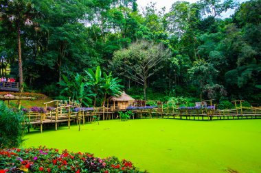 Chiang Rai bölgesindeki Mae Fah Luang Bahçesi, Tayland.