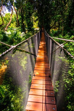 Mae Fah Luang Bahçesinde Ağaç Tepesi Yürüyüşü, Chiang Rai.