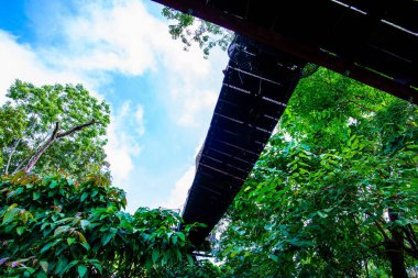Mae Fah Luang Bahçesinde Ağaç Tepesi Yürüyüşü, Chiang Rai.