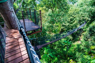 Mae Fah Luang Bahçesinde Ağaç Tepesi Yürüyüşü, Chiang Rai.