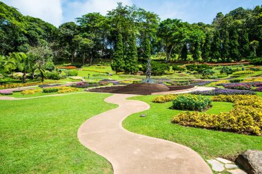 Mae Fah Luang Garden Peyzajı, Tayland.